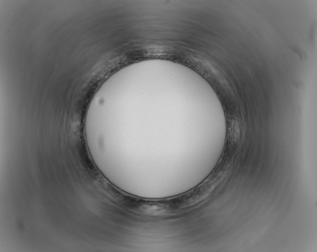 X0000114210557200911061448
