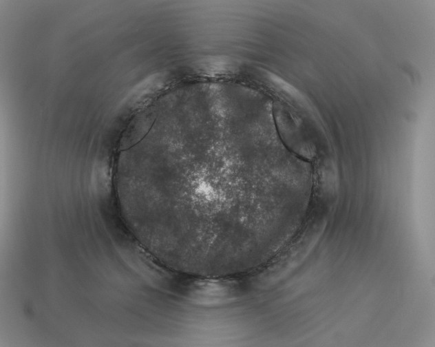 X0000114210558200911061448