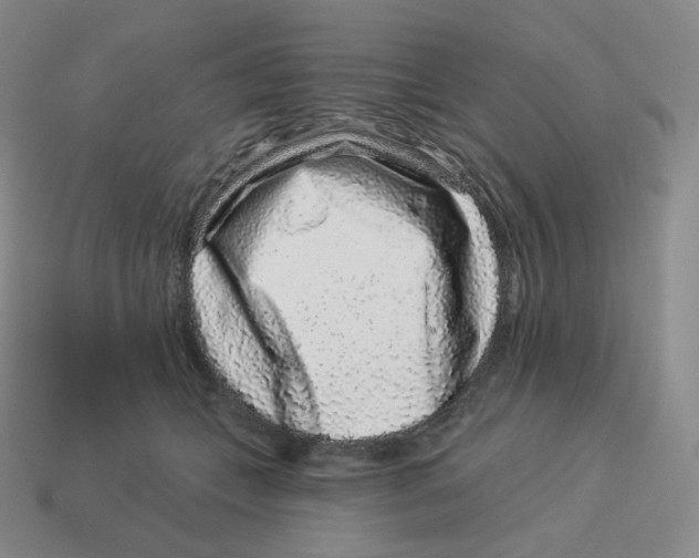 X0000114210559200911061448