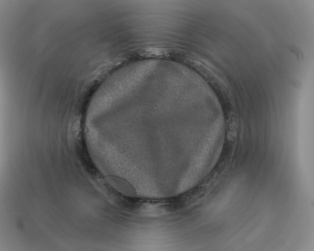 X0000114210560200911061448
