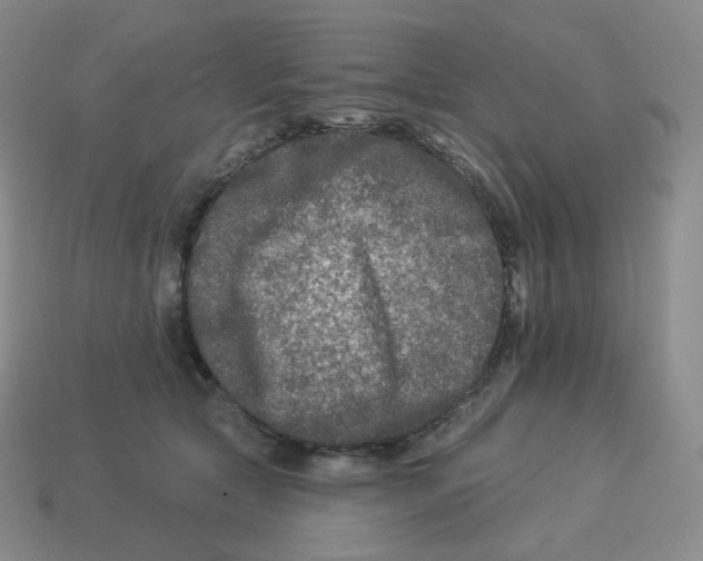 X0000114210561200911061448