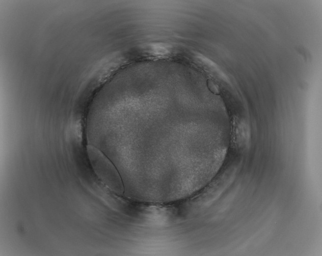 X0000114210562200911061448
