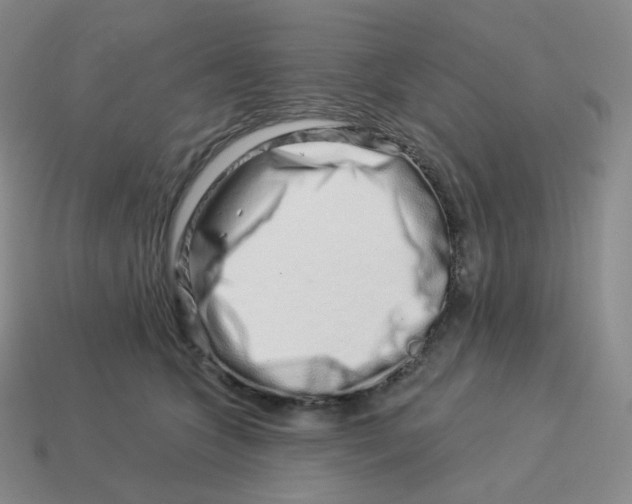 X0000114210563200911061448
