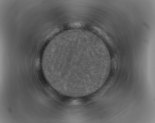 X0000114210564200911061448