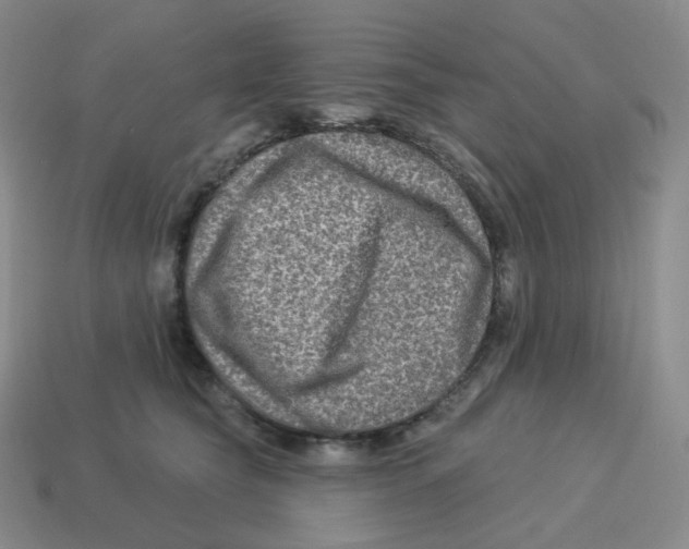 X0000114210565200911061448