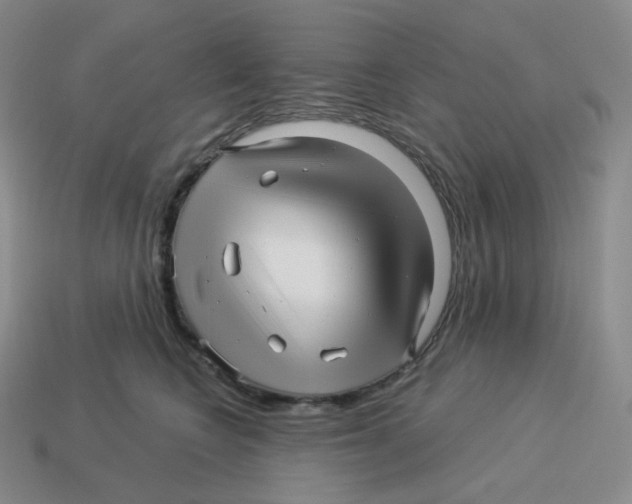 X0000114210566200911061448