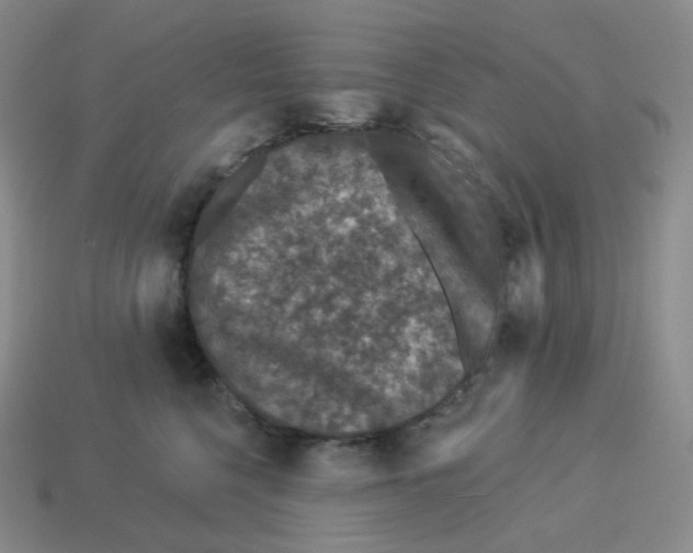 X0000114210568200911061448