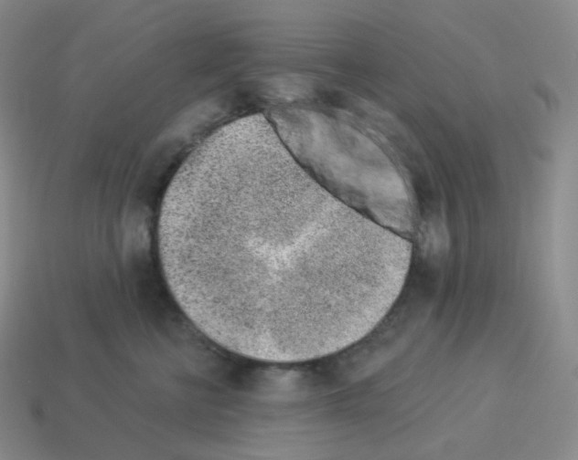 X0000114210570200911061448