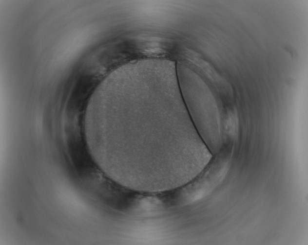 X0000114210572200911061448