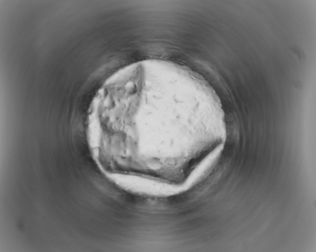 X0000114210573200911061448
