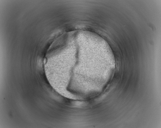 X0000114210575200911061448