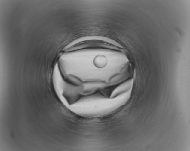 X0000114210576200911061448