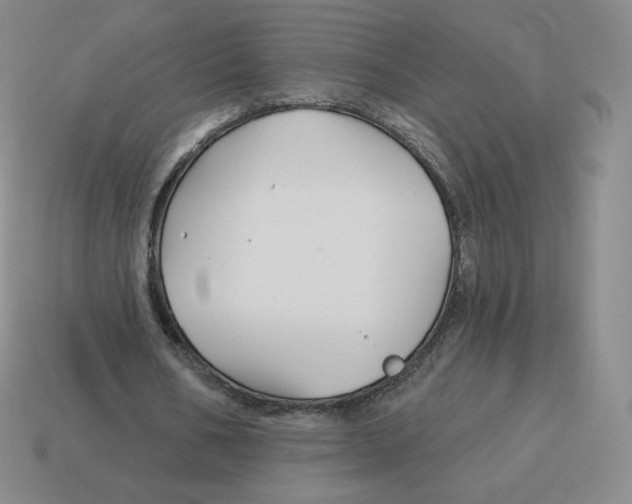 X0000114210578200911061447