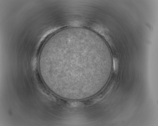 X0000114210579200911061447