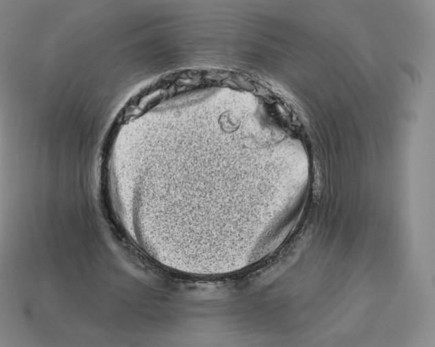 X0000114210580200911061447