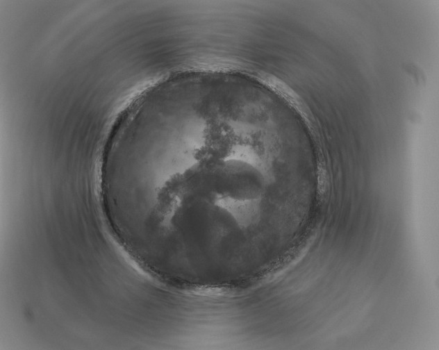 X0000114210581200911061447