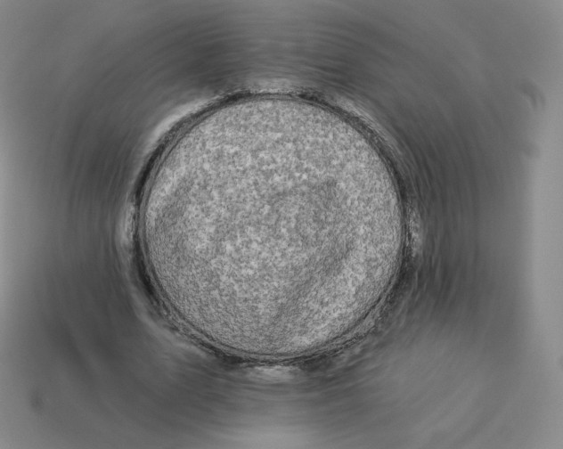 X0000114210583200911061447