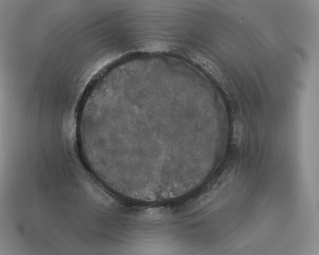 X0000114210584200911061447
