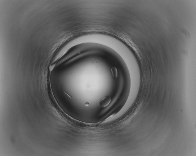 X0000114210585200911061447