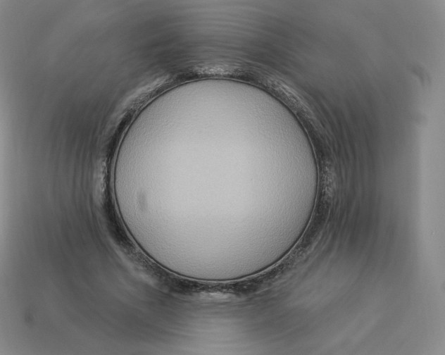 X0000114210586200911061447
