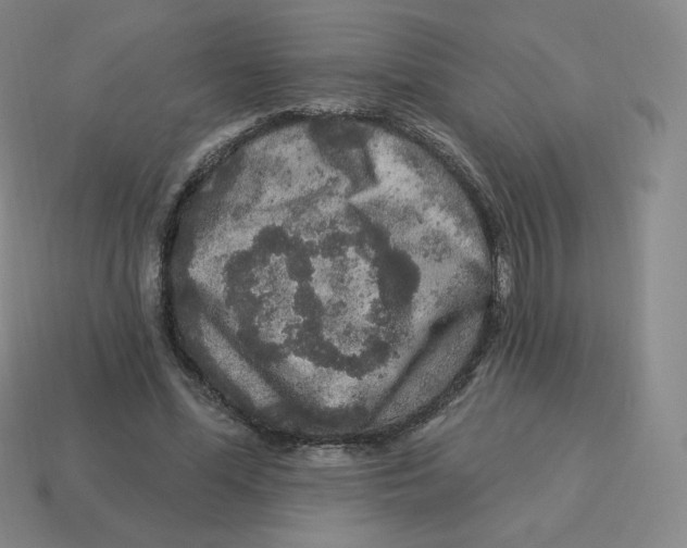 X0000114210588200911061447