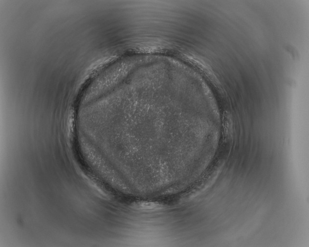 X0000114210590200911061447
