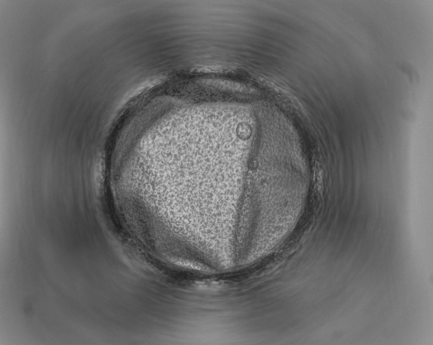 X0000114210591200911061447