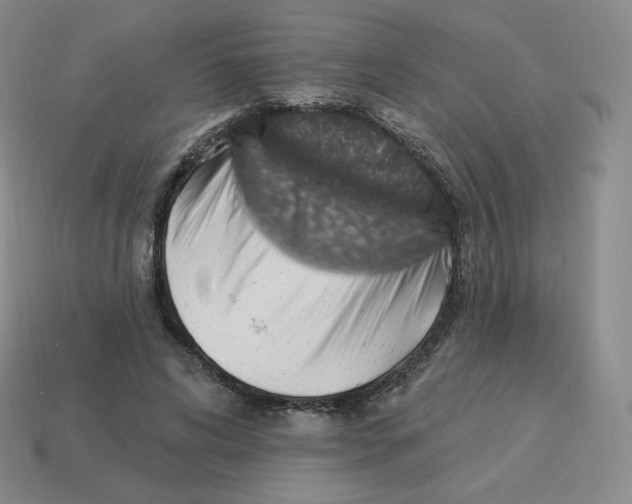 X0000114210592200911061447