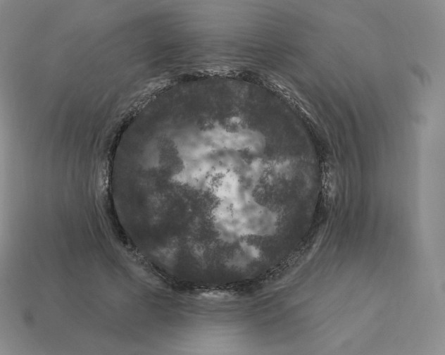 X0000114210593200911061447