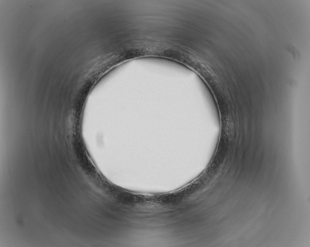 X0000114210594200911061447
