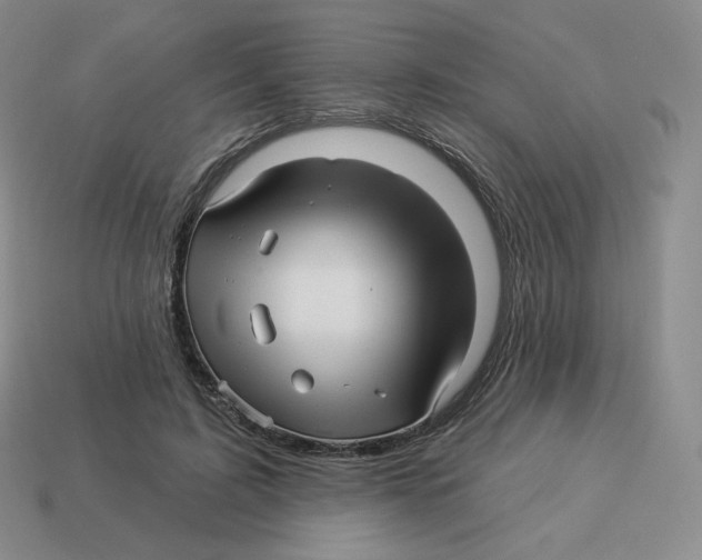 X0000114210595200911061447