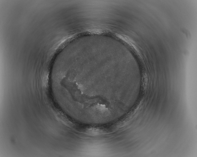 X0000114210596200911061447
