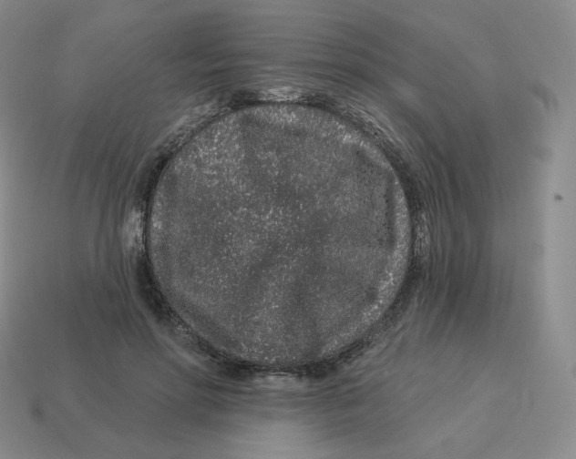 X0000114210598200911061447