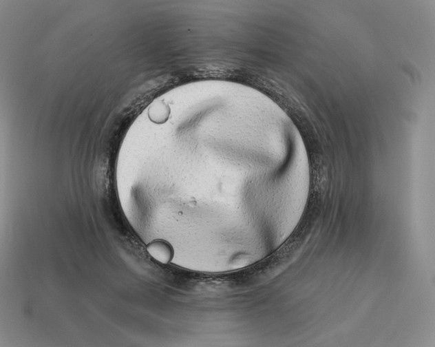 X0000114210599200911061447