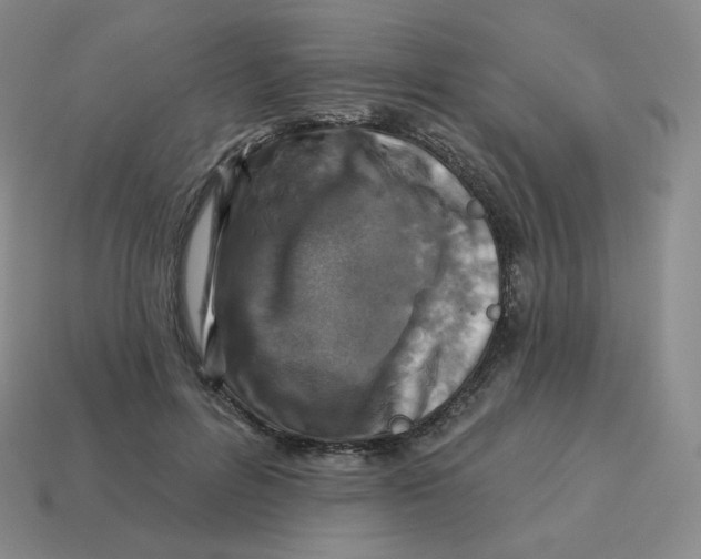 X0000114210600200911061447
