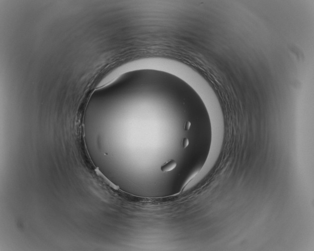 X0000114210601200911061447