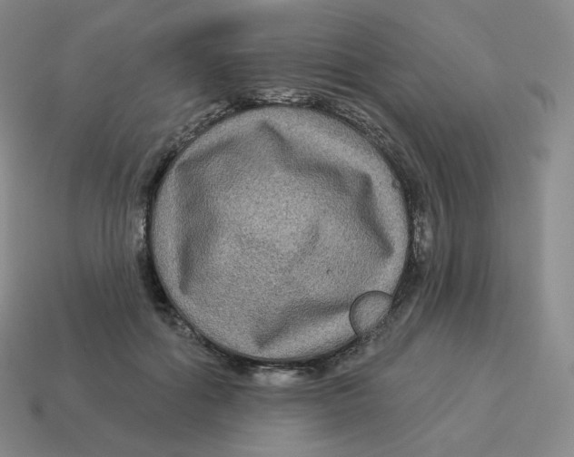 X0000114210602200911061447