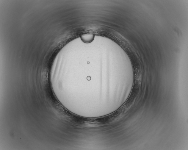 X0000114210603200911061447