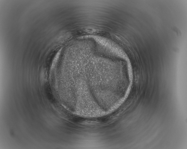 X0000114210606200911061447