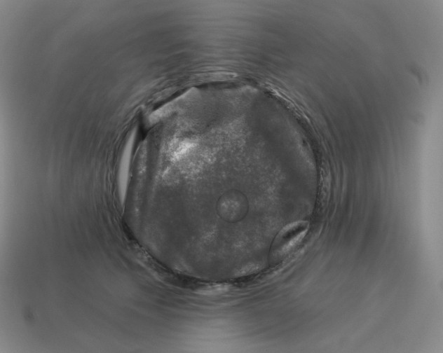 X0000114210609200911061447