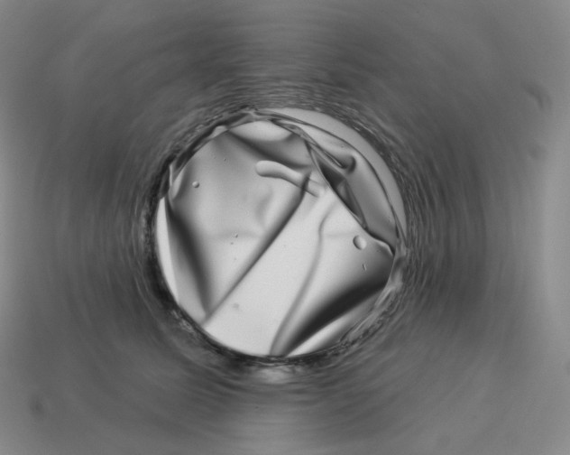 X0000114210611200911061447