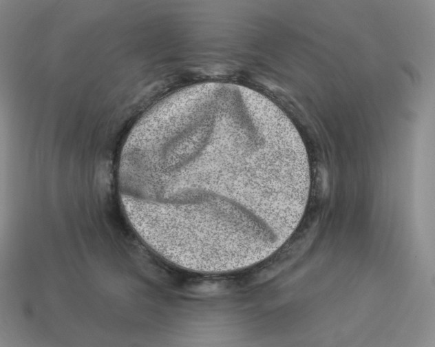 X0000114210612200911061447