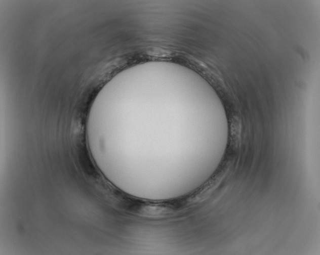 X0000114210614200911061447
