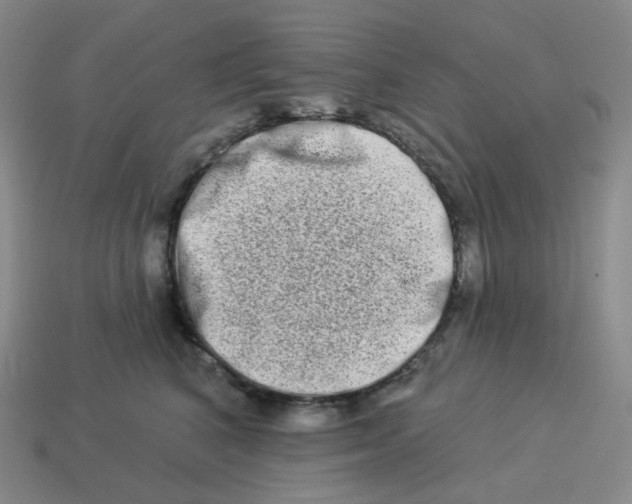 X0000114210616200911061447