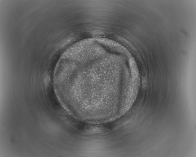 X0000114210618200911061447