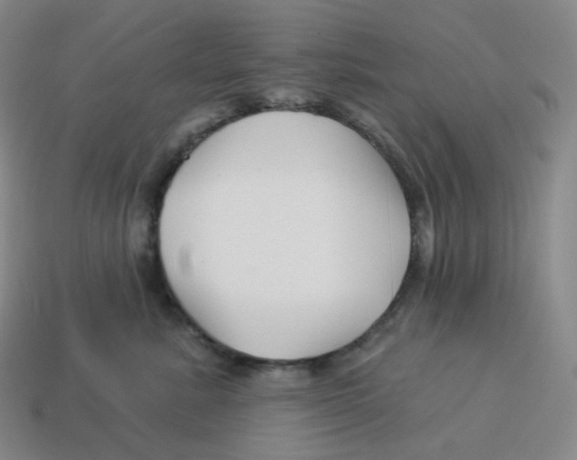 X0000114210619200911061447