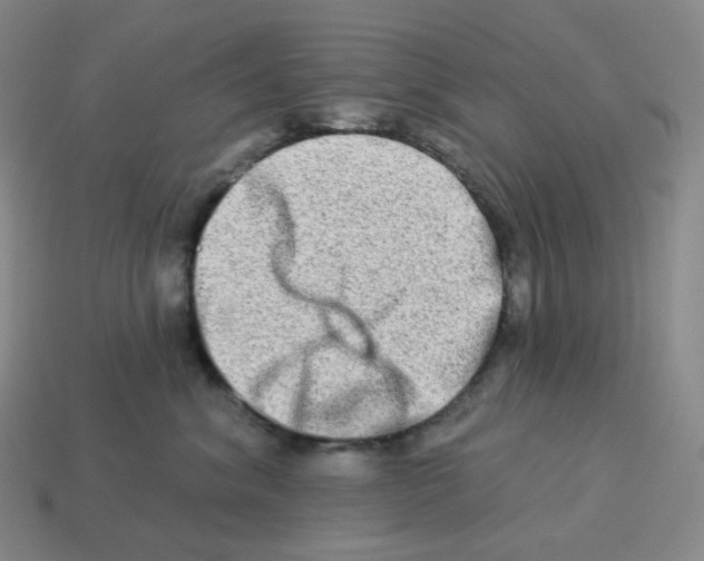 X0000114210620200911061447