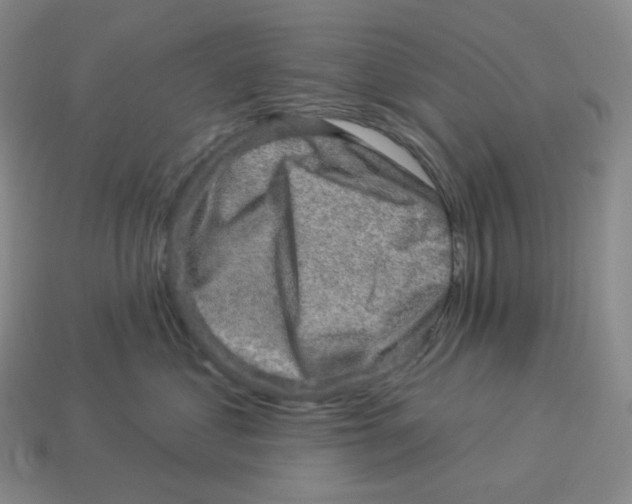 X0000114210621200911061447