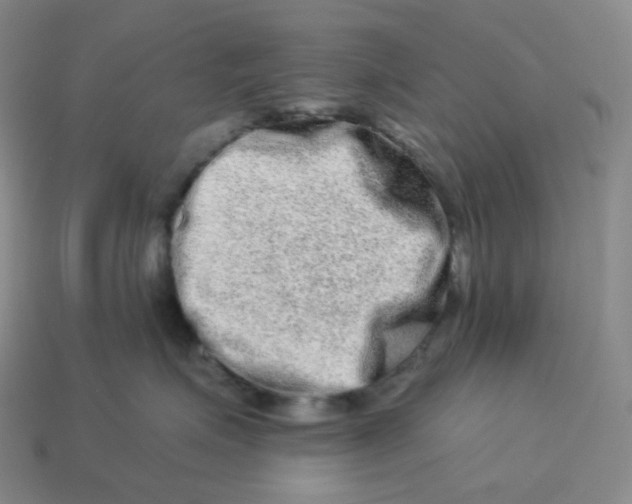 X0000114210623200911061446