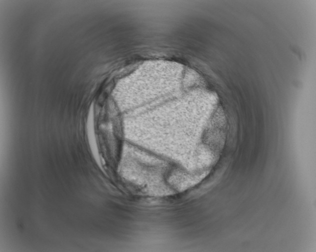 X0000114210624200911061446